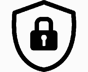 InformationSecurityIcon